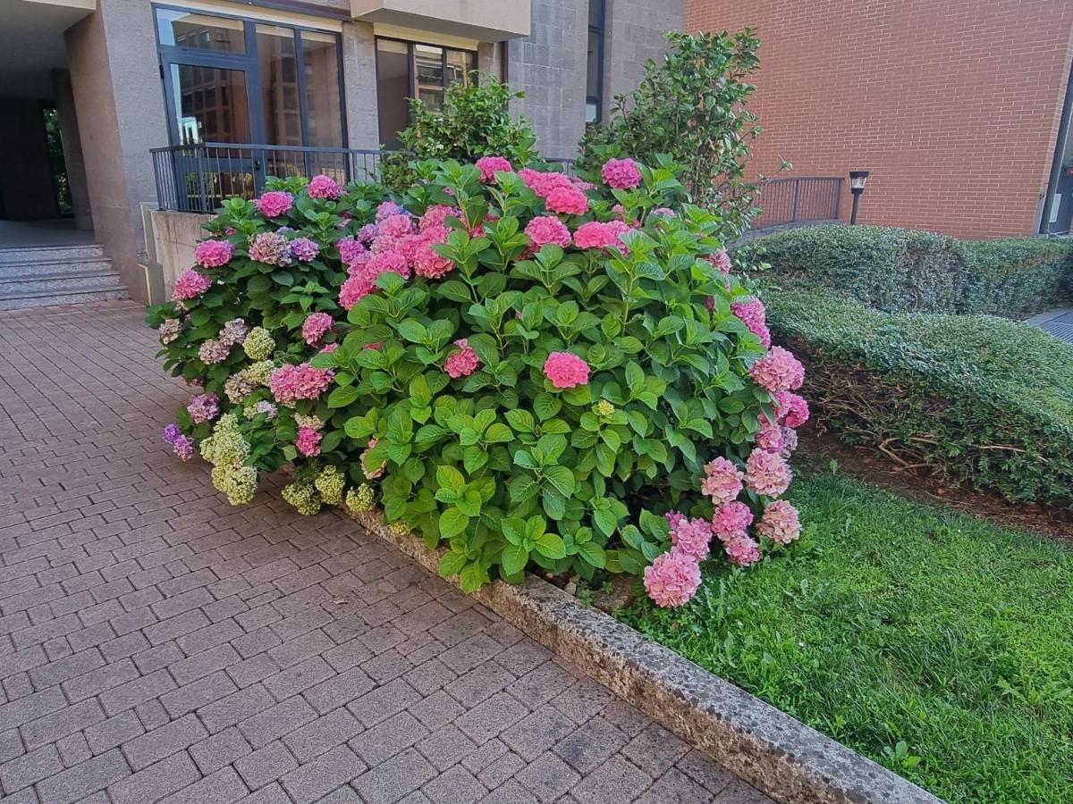 Apartmán La Casetta Di Grazia E Nino Buccinasco Exteriér fotografie